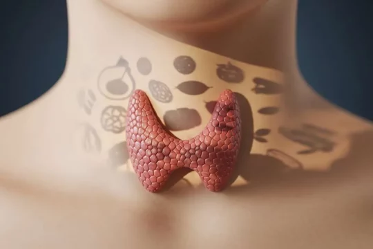 غده تیروئید سالم در برابر عوامل مخرب