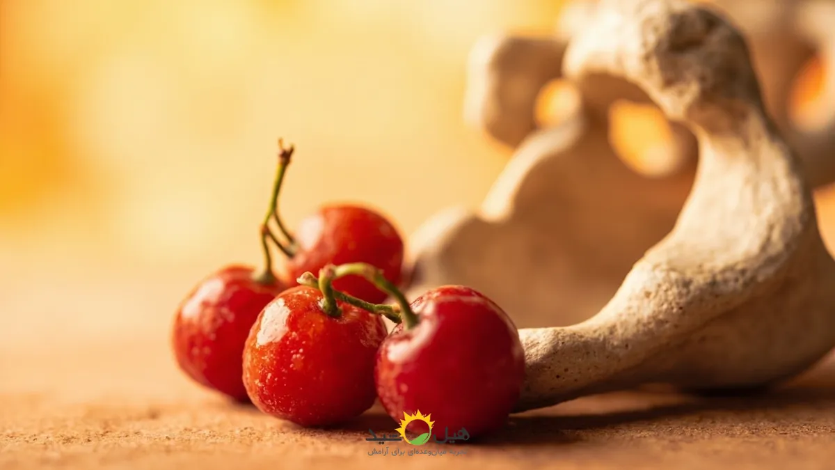 خواص سنجد برای استخوان، تقویت استخوان با سنجد، کلسیم سنجد