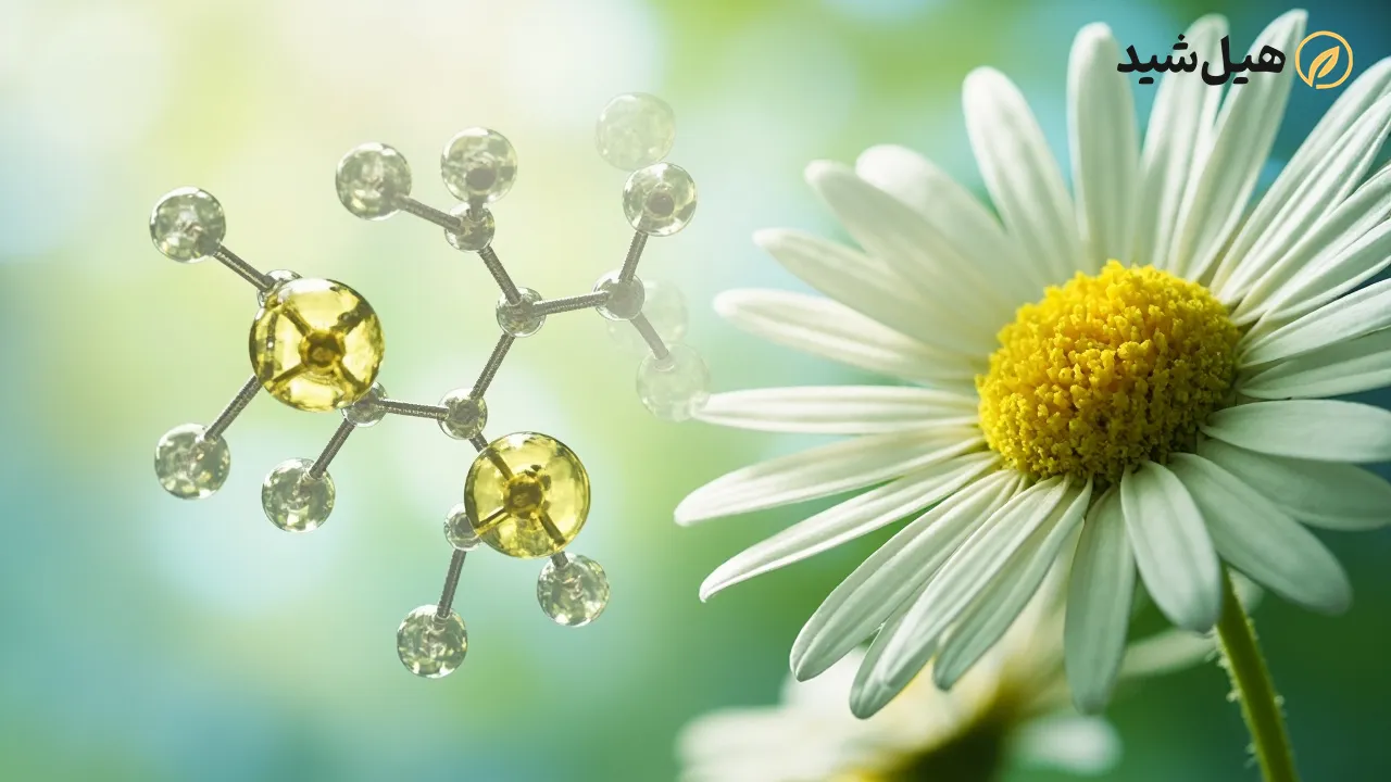 ترکیبات شیمیایی بابونه