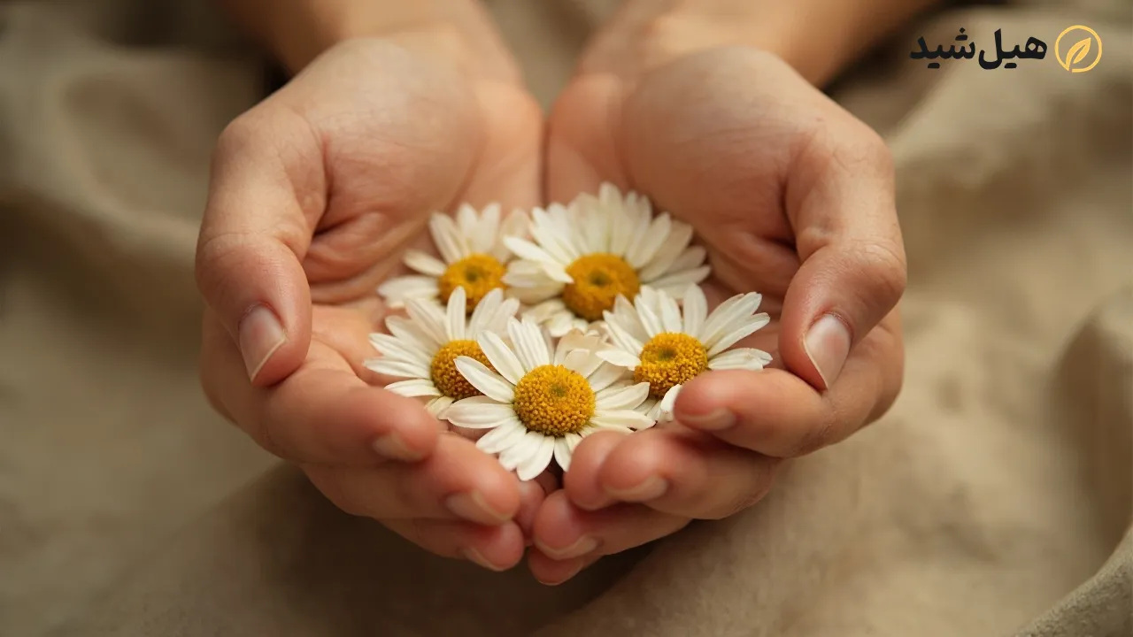 خواص بابونه برای پوست