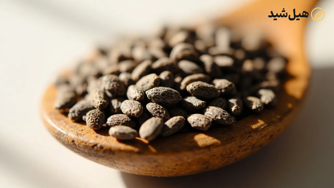 دانه‌های چیا و خواص آن‌ها برای لاغری