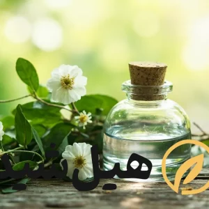 عرق بیدمشک خالص و شاخه بیدمشک تازه