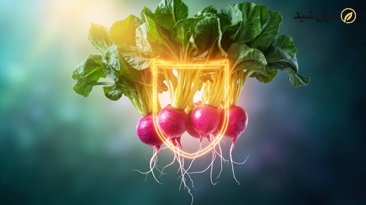 شلغم و تقویت سیستم ایمنی