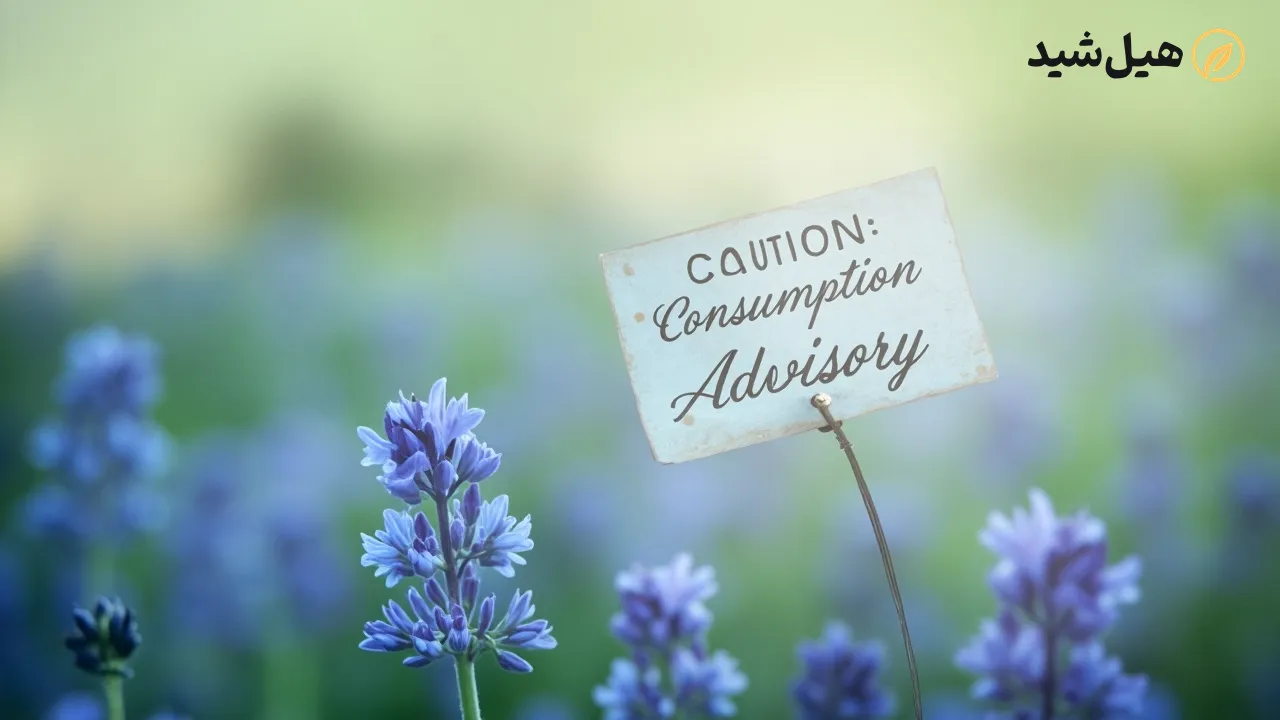 مضرات و عداخلات گل گاوزبان