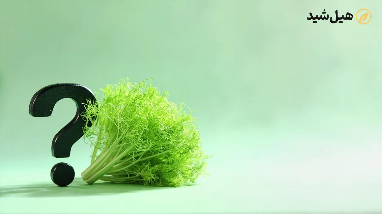 عوارض رازیانه، موارد منع مصرف رازیانه