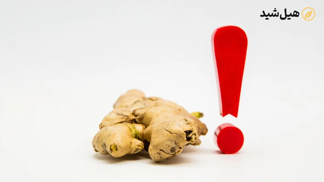 احتیاط در مصرف زنجبیل