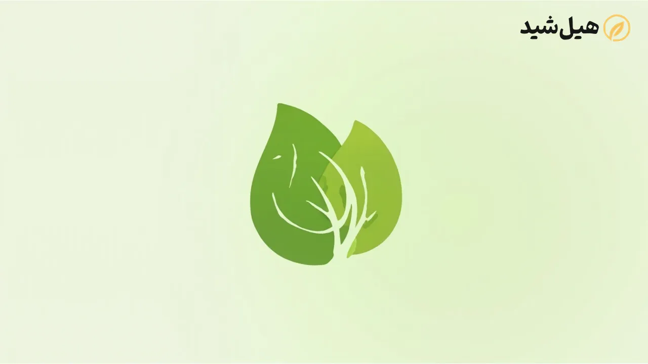 پرسش و پاسخ گلوتن، اطلاعات گلوتن