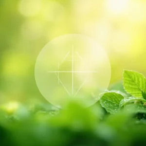 تصویر انتزاعی از ارتباط مغز و شادی، نمادی از تعادل سروتونین در بدن