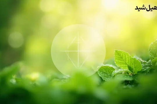 تصویر انتزاعی از ارتباط مغز و شادی، نمادی از تعادل سروتونین در بدن