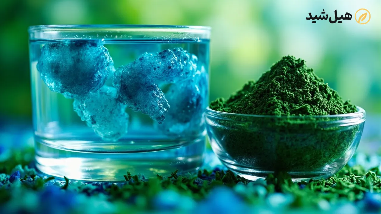 جلبک اسپیرولینا و پودر آن