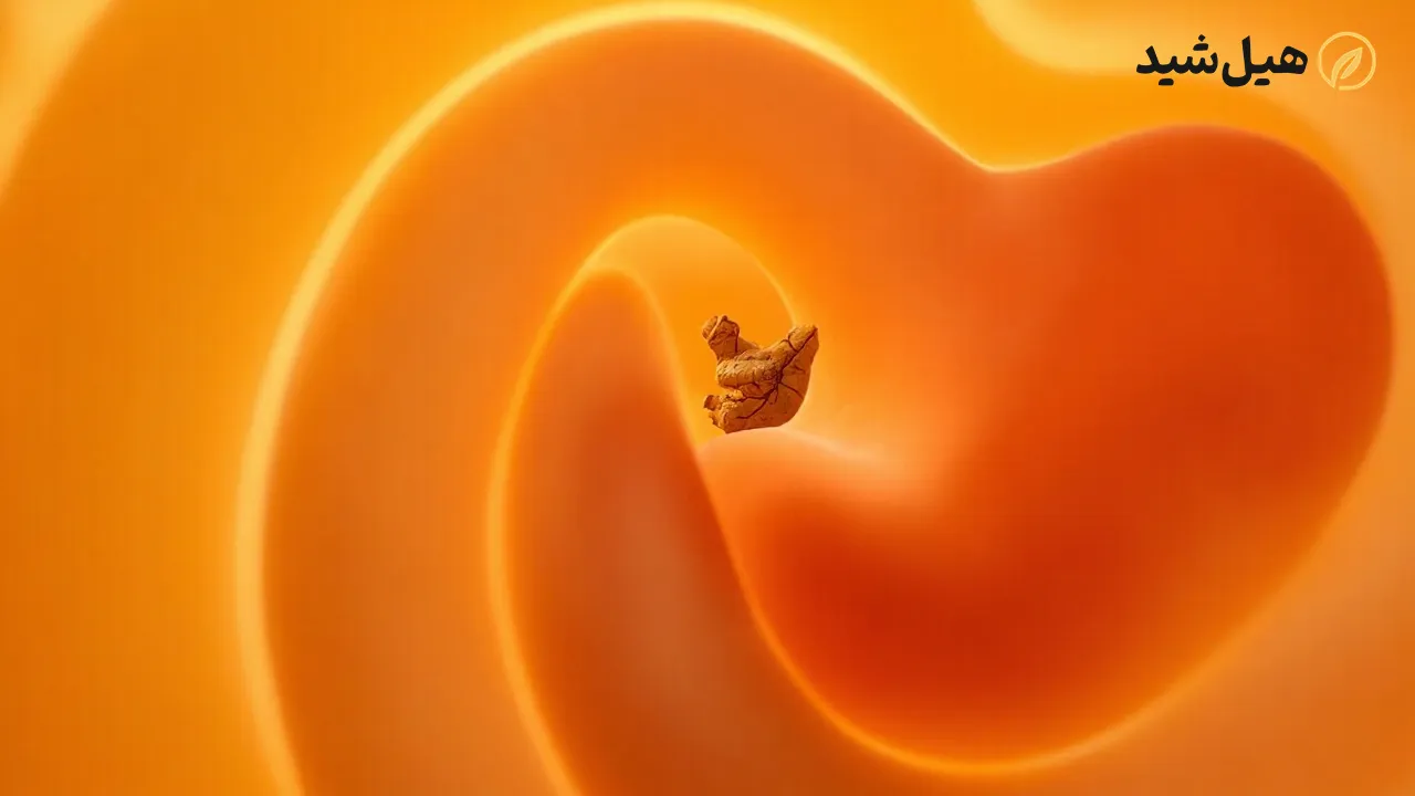 فواید زردچوبه برای گوارش و کبد