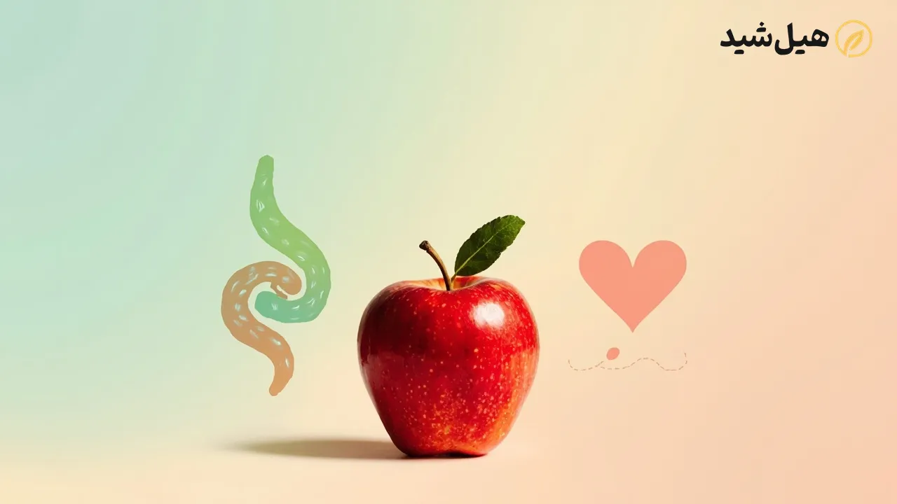 سیب برای سلامت دستگاه گوارش و قلب