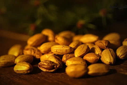 خواص چلغوز، دانه های چلغوز، آجیل چلغوز