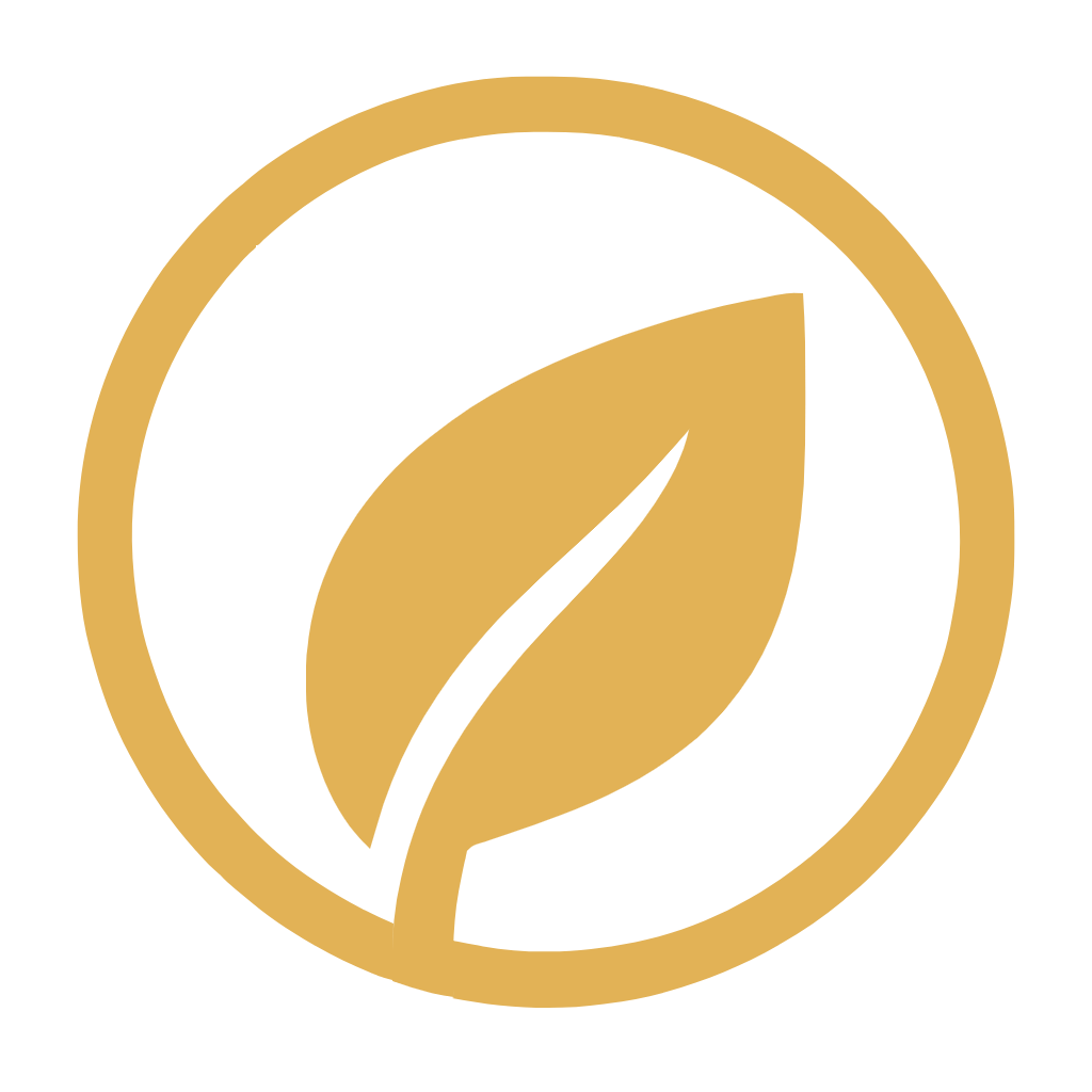 مجله فیت‌میت