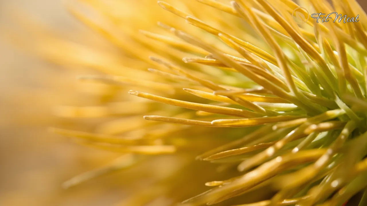 بافت فیبری دانه جو یا ساقه کرفس